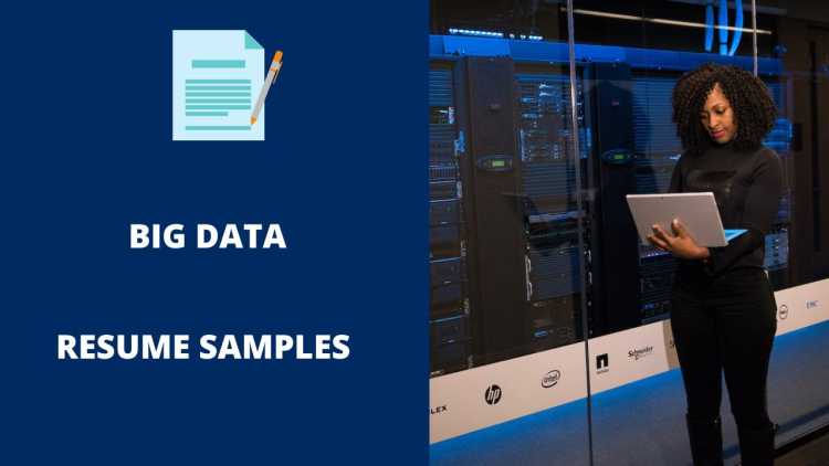 Big Data Resume Sample 7512